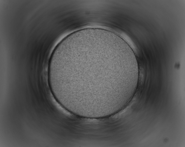 X0000100861100200807181130