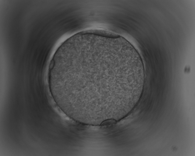 X0000100861104200807181130