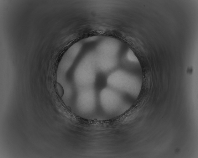 X0000100861105200807181129