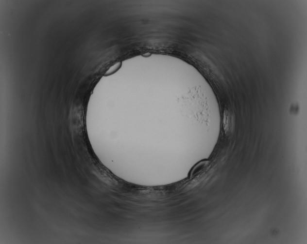 X0000100861107200807181129