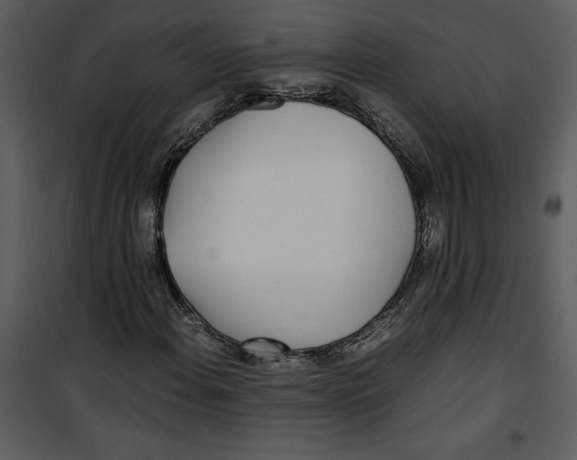 X0000100861108200807181129