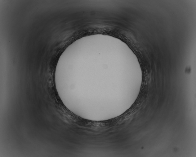 X0000100861109200807181129