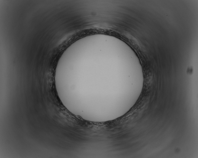 X0000100861110200807181129