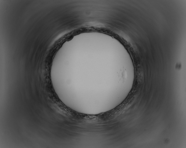 X0000100861112200807181129