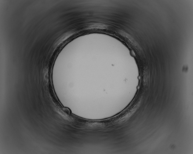 X0000100861113200807181129