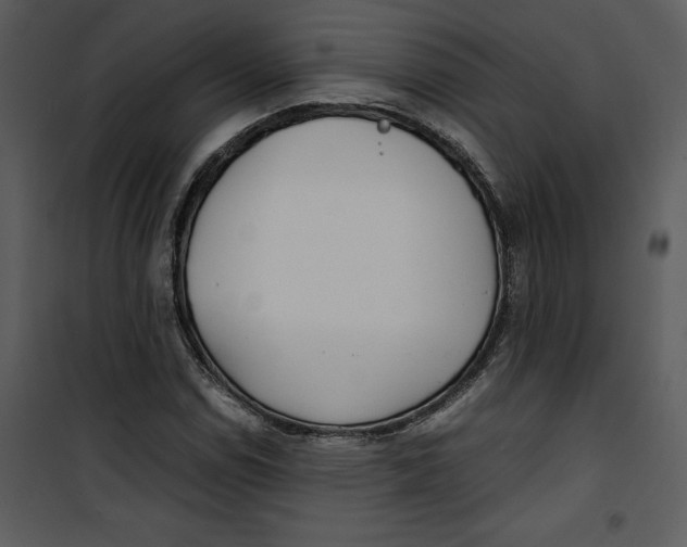 X0000100861114200807181129