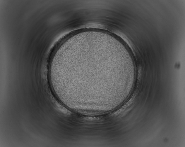 X0000100861115200807181129