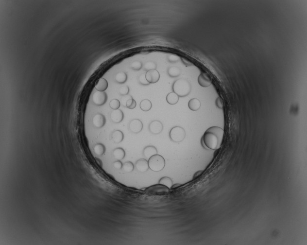 X0000100861116200807181129