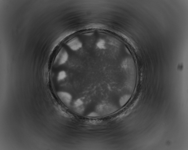 X0000100861117200807181129