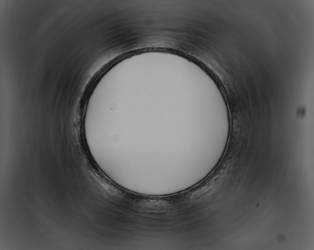 X0000100861119200807181129