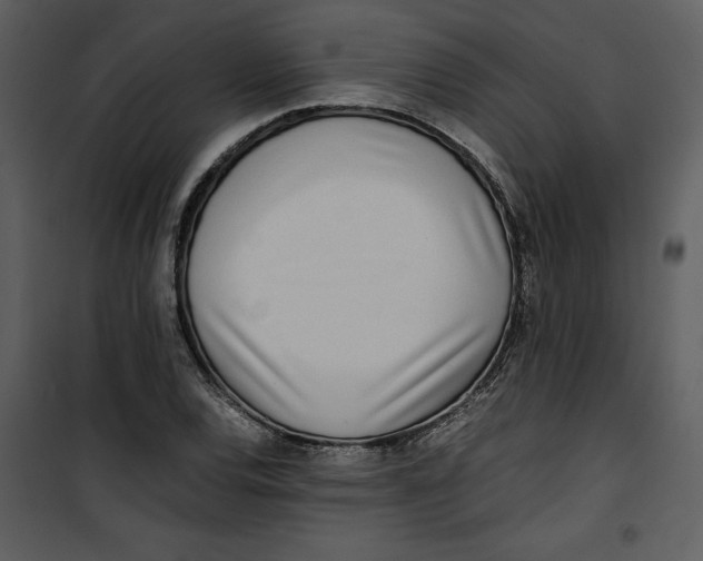 X0000100861120200807181129