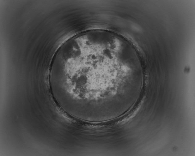 X0000100861121200807181129