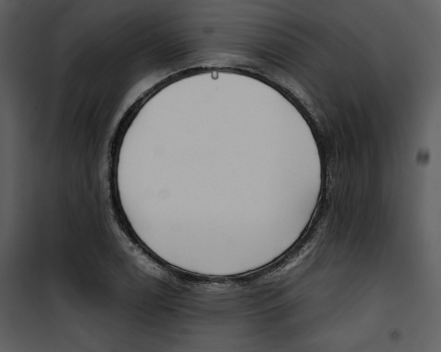 X0000100861122200807181129