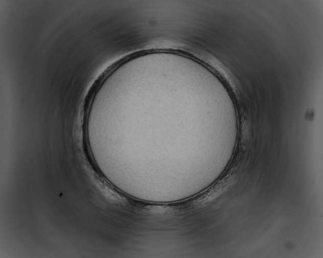 X0000100861124200807181129