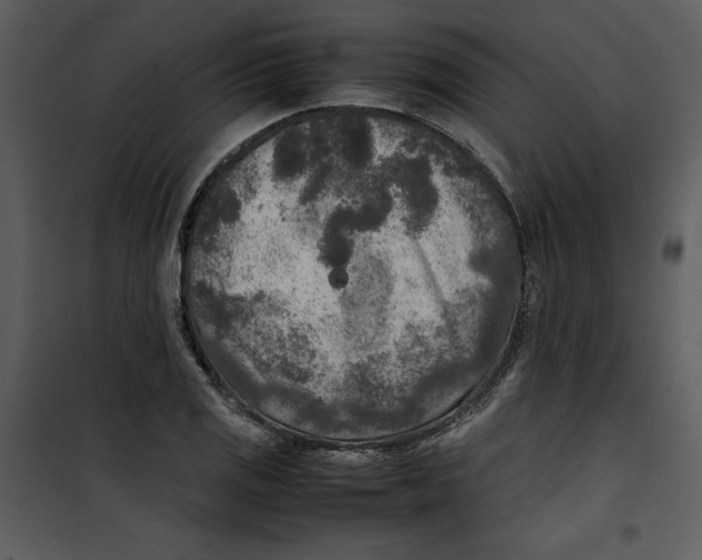 X0000100861125200807181129