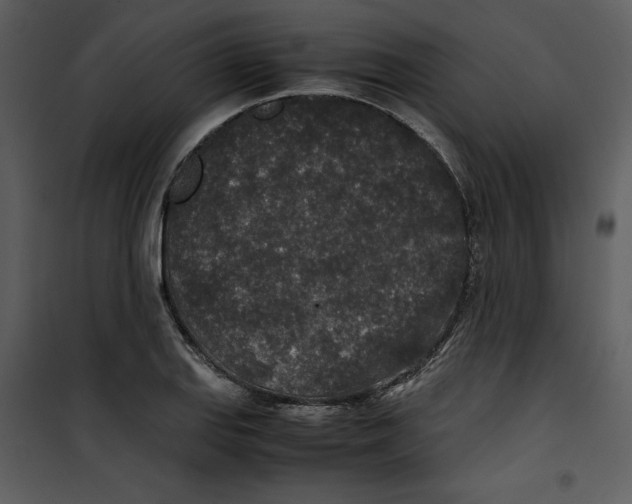 X0000100861127200807181129