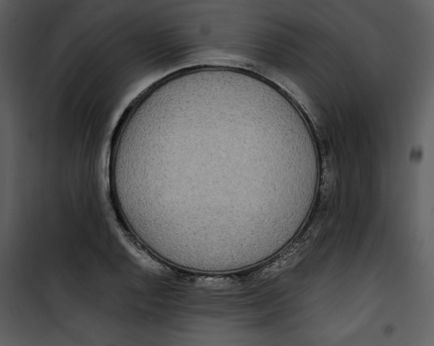 X0000100861128200807181129