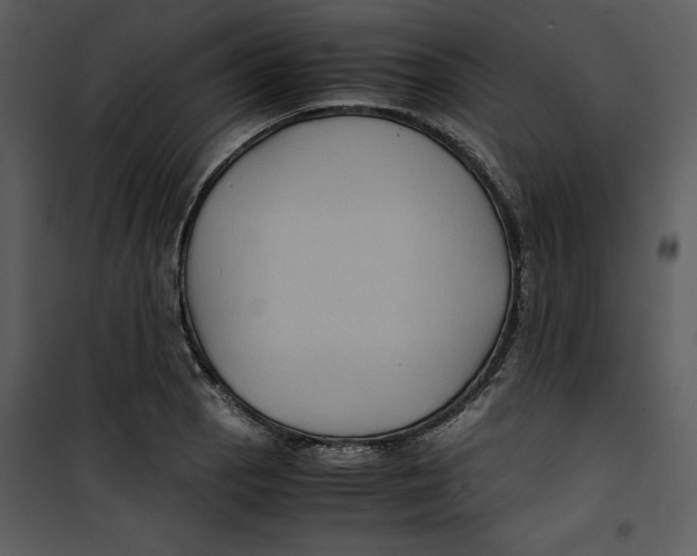 X0000100861129200807181129