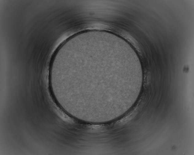 X0000100861130200807181129