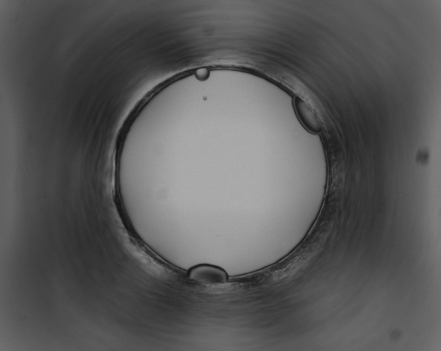 X0000100861132200807181130