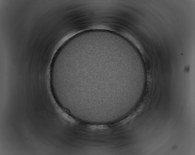 X0000100861133200807181130