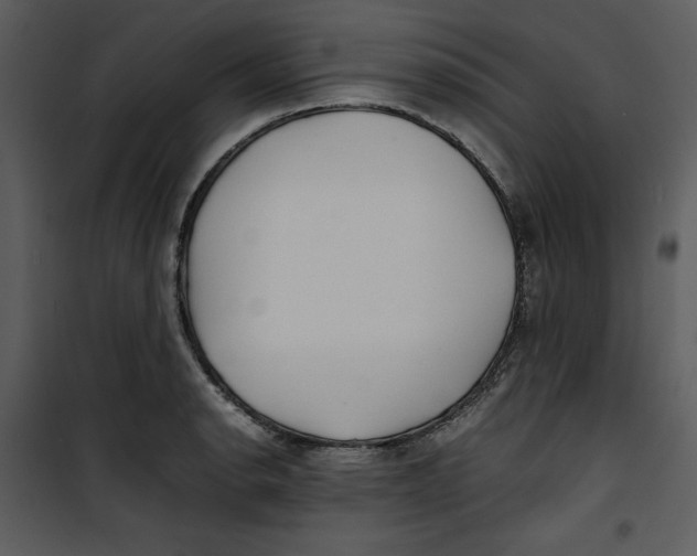 X0000100861134200807181130