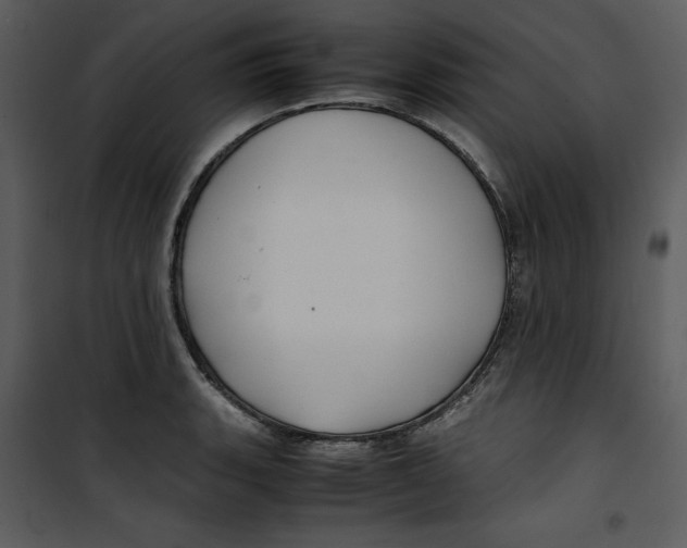 X0000100861135200807181130