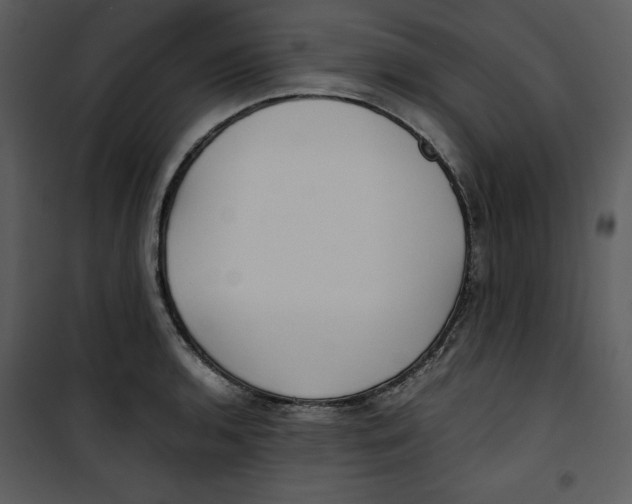 X0000100861136200807181130