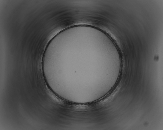 X0000100861137200807181130