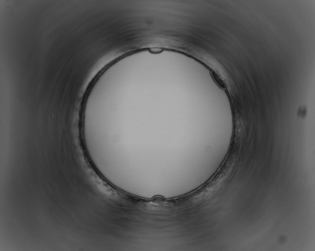 X0000100861138200807181130