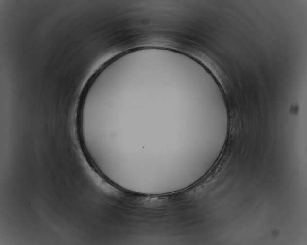 X0000100861139200807181130