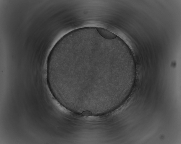 X0000100861140200807181130