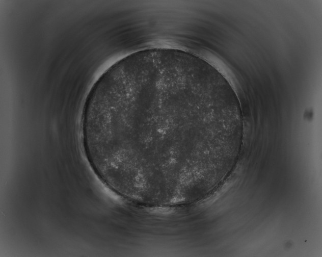 X0000100861141200807181130