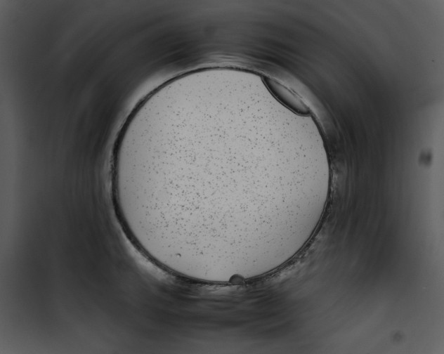 X0000100861143200807181130