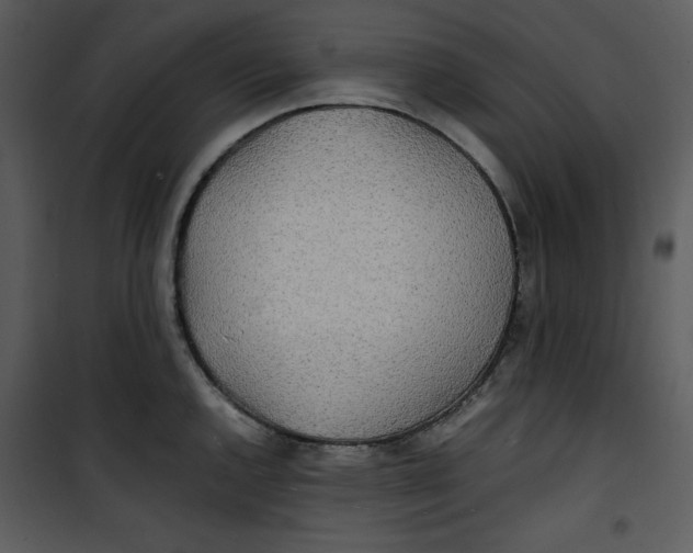 X0000100861144200807181130