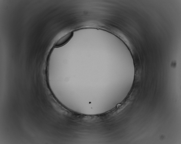 X0000100861146200807181130