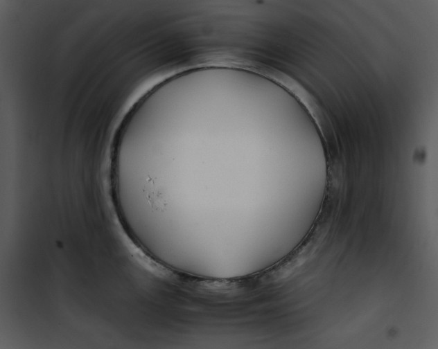 X0000100861147200807181130