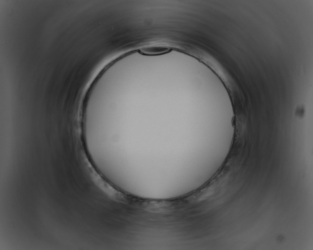 X0000100861148200807181130