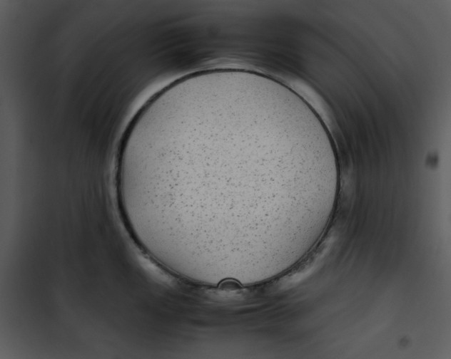 X0000100861149200807181130