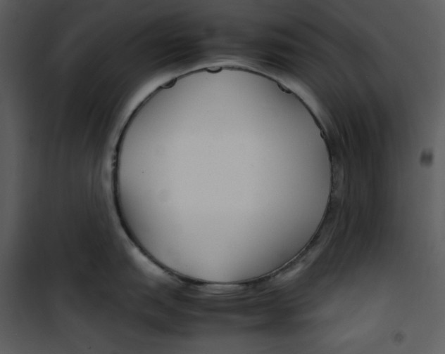 X0000100861151200807181130