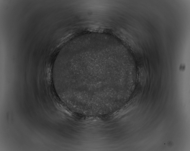 X0000100861154200807181129