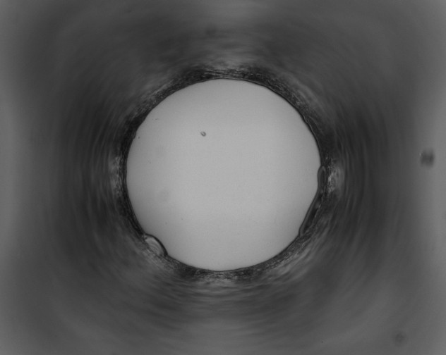 X0000100861156200807181129