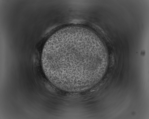 X0000100861158200807181129