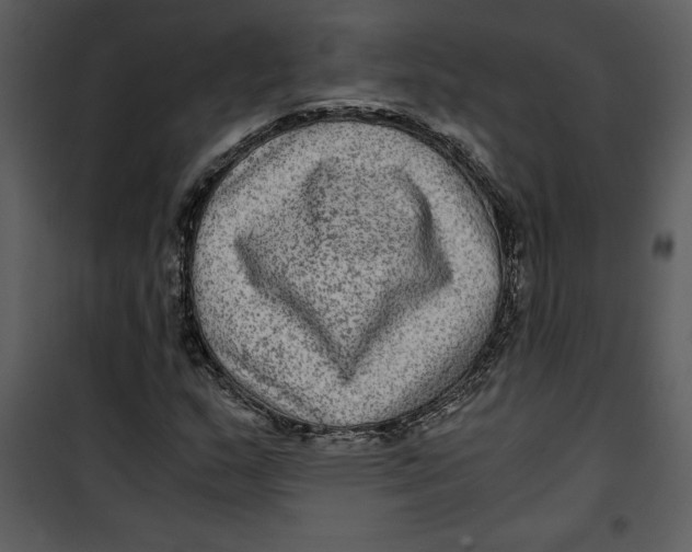 X0000100861159200807181129