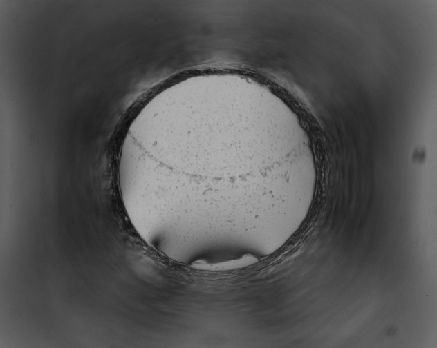 X0000100861160200807181129