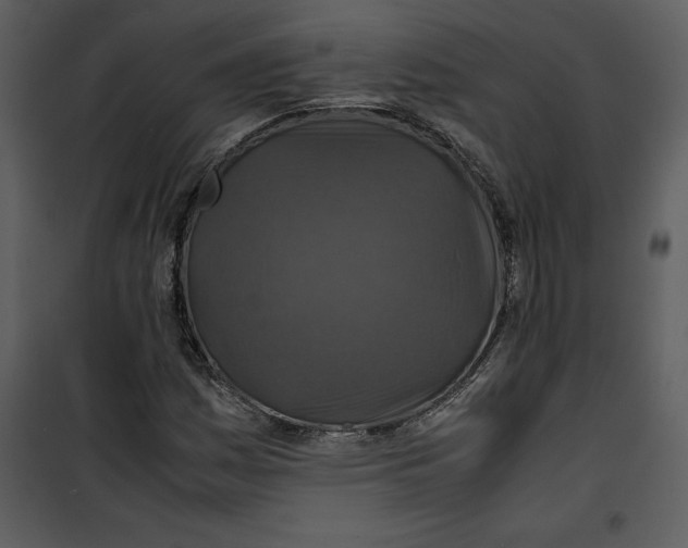 X0000100861161200807181129