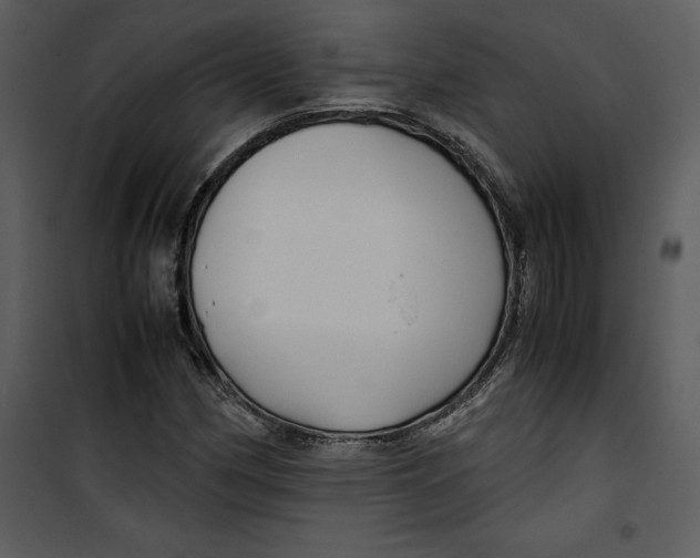 X0000100861162200807181129