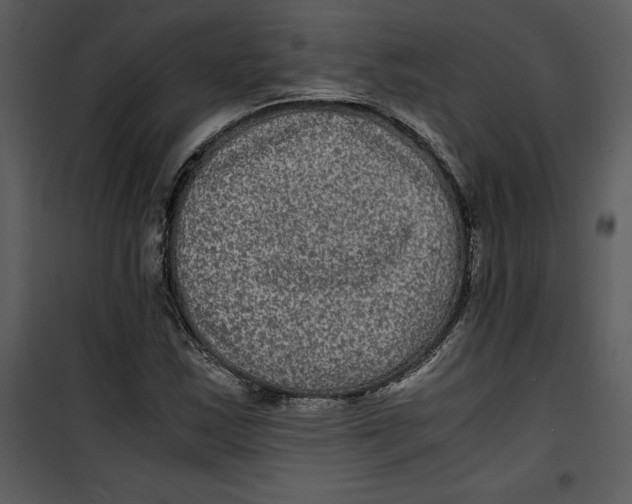 X0000100861163200807181129