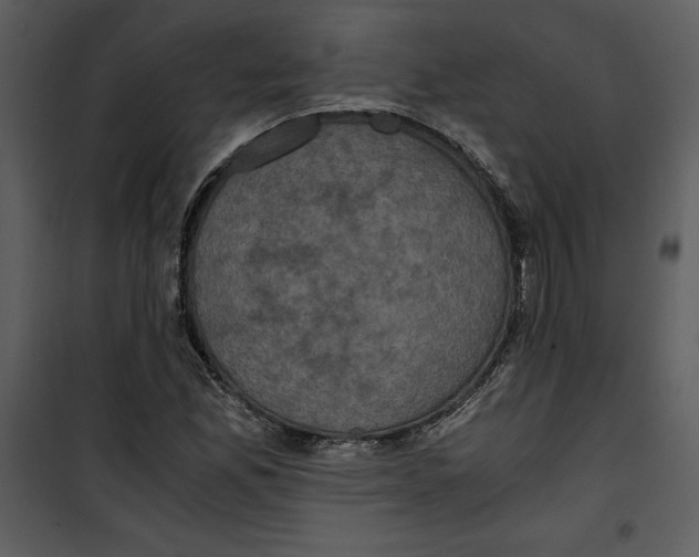 X0000100861165200807181129