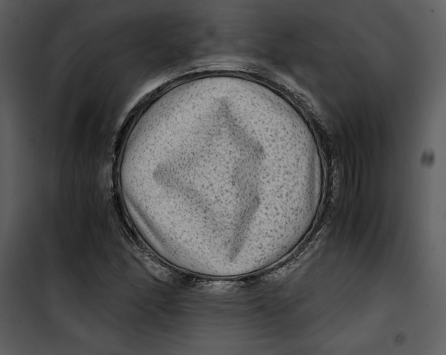 X0000100861166200807181129